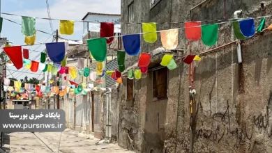 خاطرات شیرین پورسینا 50